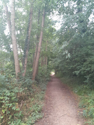 Whiteknights Park